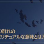 鳥の群れのスピリチュアルな意味とは？