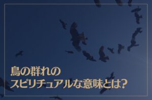 鳥の群れのスピリチュアルな意味とは？