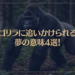【夢占い】ゴリラに追いかけられる夢の意味4選！シチュエーション別にご紹介！