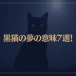 【夢占い】黒猫の夢の意味7選！シチュエーション別にご紹介！
