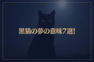 【夢占い】黒猫の夢の意味7選！シチュエーション別にご紹介！