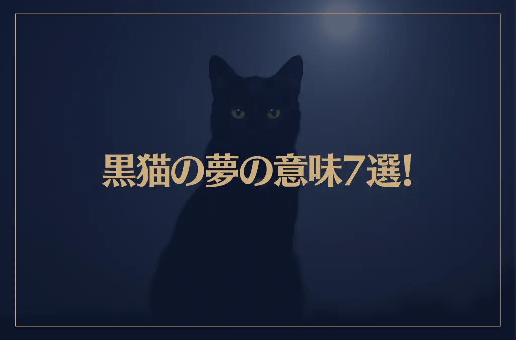 【夢占い】黒猫の夢の意味7選！シチュエーション別にご紹介！
