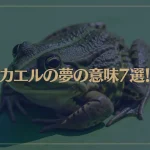 【夢占い】カエルの夢の意味7選！シチュエーション別にご紹介！