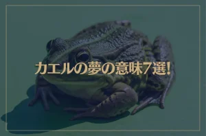 【夢占い】カエルの夢の意味7選！シチュエーション別にご紹介！