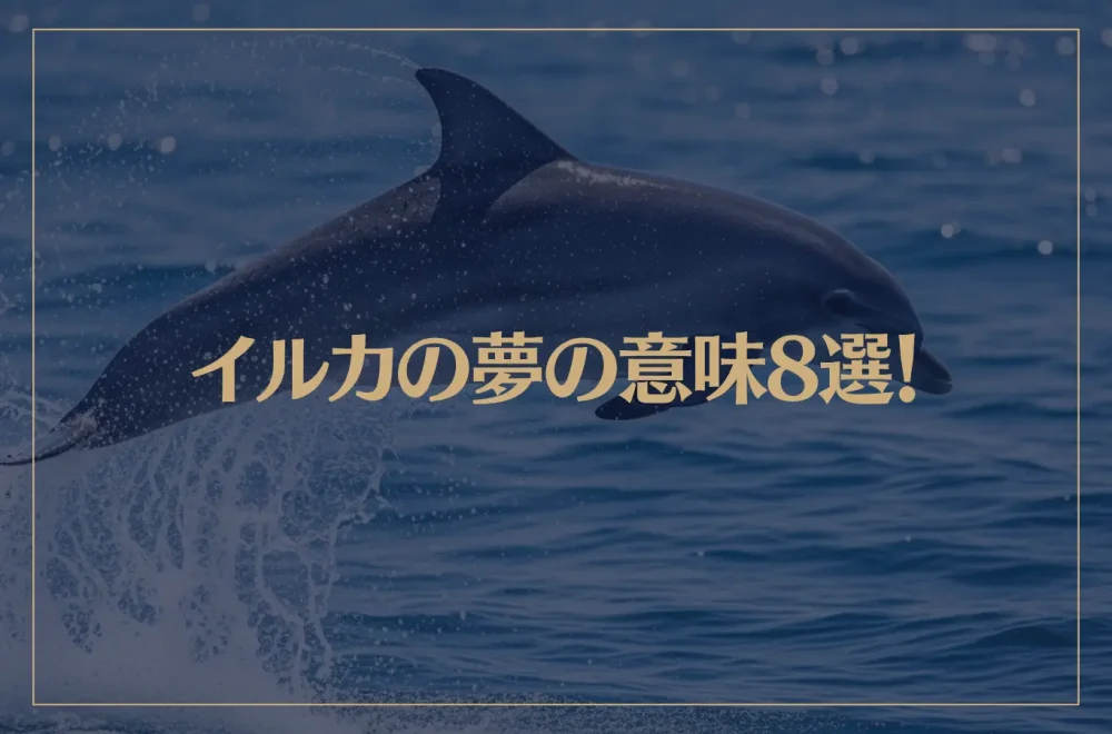 【夢占い】イルカの夢の意味8選！シチュエーション別にご紹介！