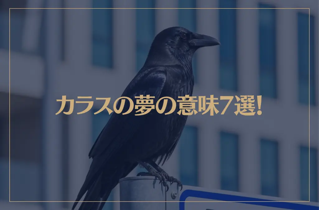 【夢占い】カラスの夢の意味7選！シチュエーション別にご紹介！