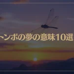 【夢占い】トンボの夢の意味10選！シチュエーション別にご紹介！