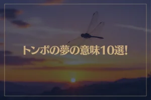 【夢占い】トンボの夢の意味10選！シチュエーション別にご紹介！