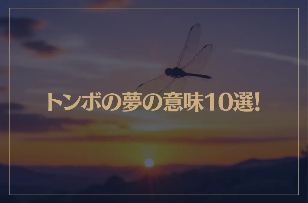 【夢占い】トンボの夢の意味10選！シチュエーション別にご紹介！