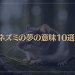 【夢占い】ネズミの夢の意味10選！シチュエーション別にご紹介！