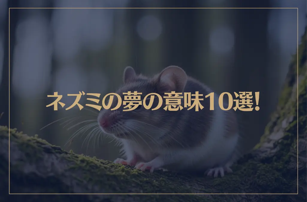 【夢占い】ネズミの夢の意味10選！シチュエーション別にご紹介！