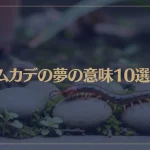 【夢占い】ムカデの夢の意味10選！シチュエーション別にご紹介！