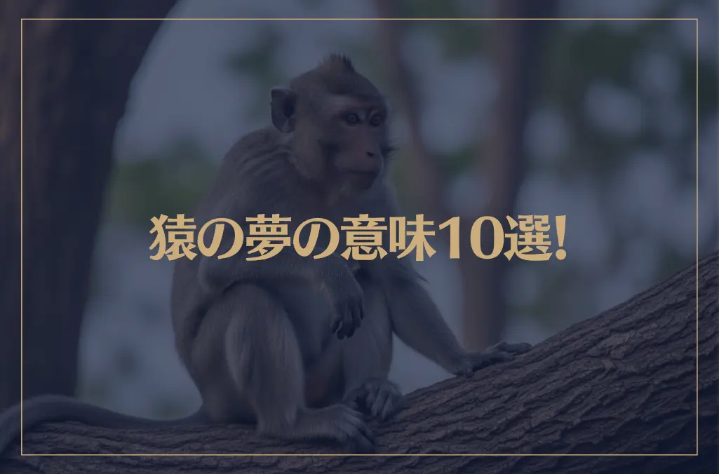 【夢占い】猿の夢の意味10選！シチュエーション別にご紹介！
