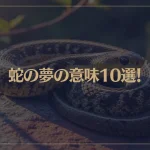【夢占い】蛇の夢の意味10選！シチュエーション別にご紹介！