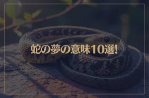 【夢占い】蛇の夢の意味10選！シチュエーション別にご紹介！