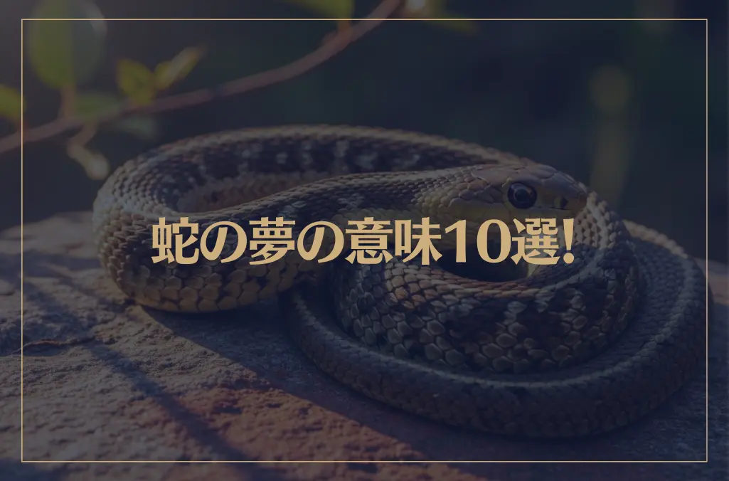 【夢占い】蛇の夢の意味10選！シチュエーション別にご紹介！