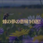【夢占い】蜂の夢の意味10選！シチュエーション別にご紹介！