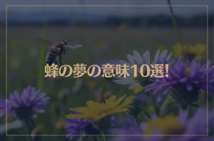 【夢占い】蜂の夢の意味10選！シチュエーション別にご紹介！