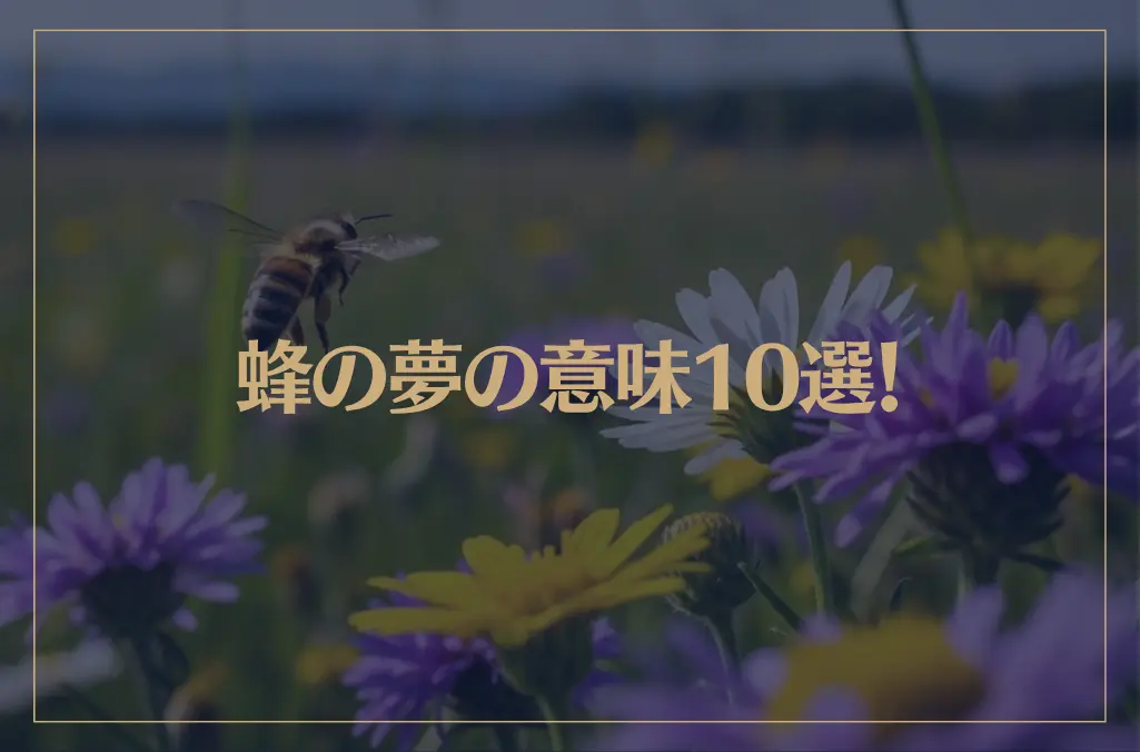 【夢占い】蜂の夢の意味10選！シチュエーション別にご紹介！