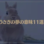 【夢占い】うさぎの夢の意味11選！シチュエーション別にご紹介！