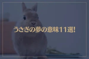 【夢占い】うさぎの夢の意味11選！シチュエーション別にご紹介！