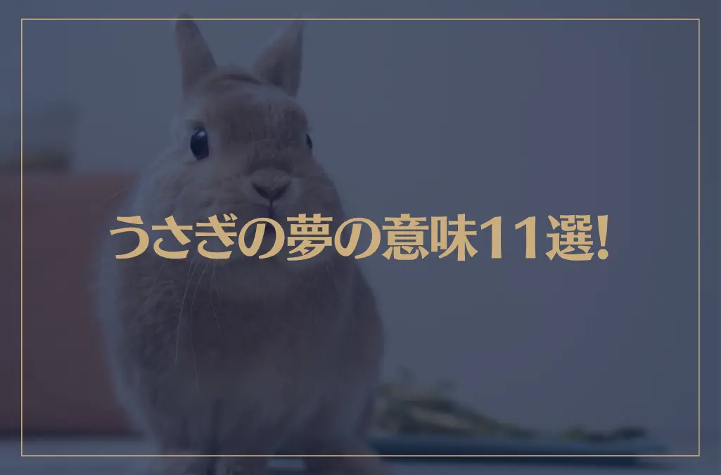 【夢占い】うさぎの夢の意味11選！シチュエーション別にご紹介！