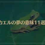 【夢占い】カエルの夢の意味11選！シチュエーション別にご紹介！