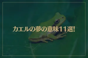 【夢占い】カエルの夢の意味11選！シチュエーション別にご紹介！