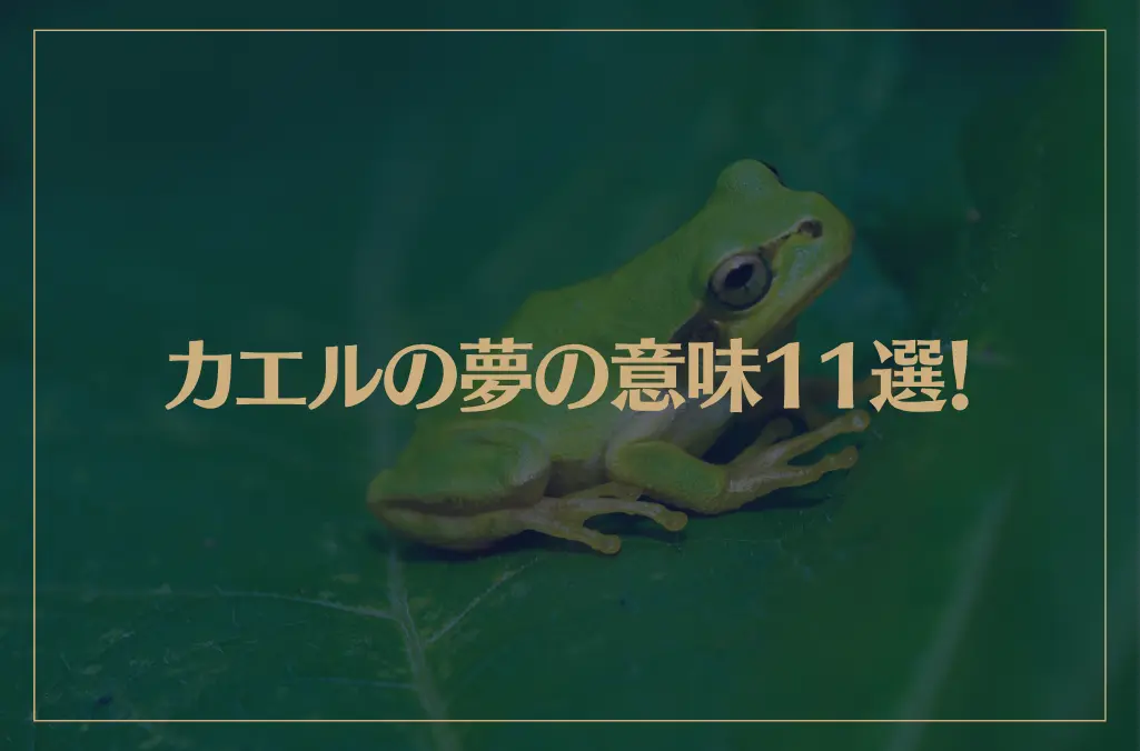 【夢占い】カエルの夢の意味11選！シチュエーション別にご紹介！