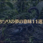 【夢占い】サソリの夢の意味11選！シチュエーション別にご紹介！
