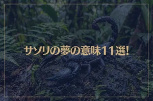 【夢占い】サソリの夢の意味11選！シチュエーション別にご紹介！