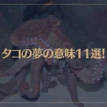 【夢占い】タコの夢の意味11選！シチュエーション別にご紹介！
