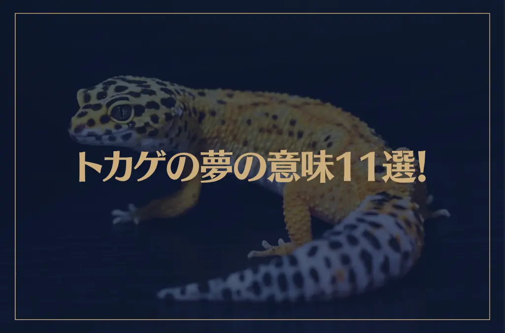 【夢占い】トカゲの夢の意味11選！シチュエーション別にご紹介！