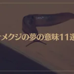 【夢占い】ナメクジの夢の意味11選！シチュエーション別にご紹介！
