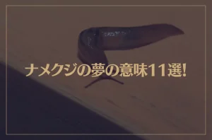 【夢占い】ナメクジの夢の意味11選！シチュエーション別にご紹介！