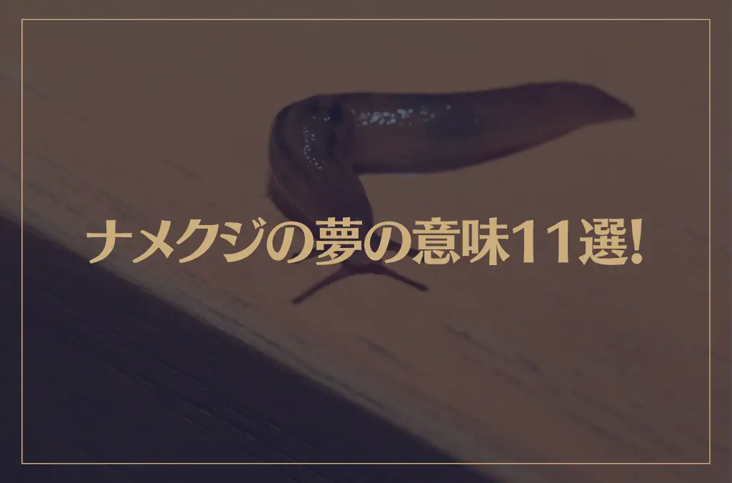 【夢占い】ナメクジの夢の意味11選！シチュエーション別にご紹介！