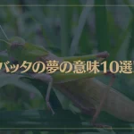 【夢占い】バッタの夢の意味10選！シチュエーション別にご紹介！