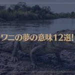 【夢占い】ワニの夢の意味12選！シチュエーション別にご紹介！