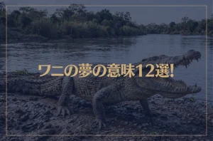 【夢占い】ワニの夢の意味12選！シチュエーション別にご紹介！