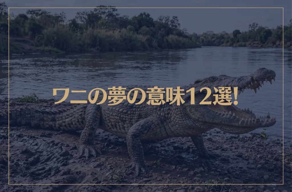 【夢占い】ワニの夢の意味12選！シチュエーション別にご紹介！