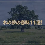 【夢占い】木の夢の意味11選！シチュエーション別にご紹介！