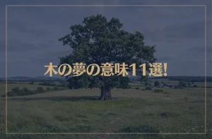 【夢占い】木の夢の意味11選！シチュエーション別にご紹介！