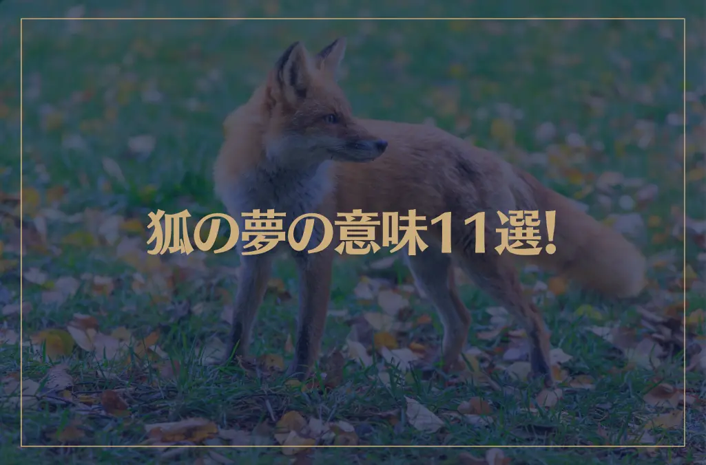 【夢占い】狐の夢の意味11選！シチュエーション別にご紹介！