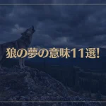 【夢占い】狼の夢の意味11選！シチュエーション別にご紹介！