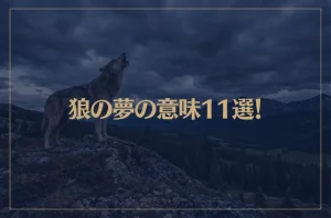 【夢占い】狼の夢の意味11選！シチュエーション別にご紹介！