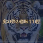 【夢占い】虎の夢の意味11選！シチュエーション別にご紹介！