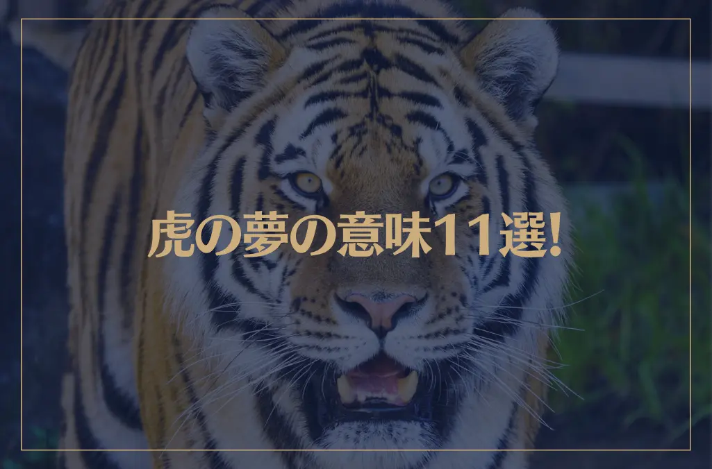 【夢占い】虎の夢の意味11選！シチュエーション別にご紹介！