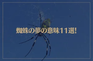 【夢占い】蜘蛛の夢の意味11選！シチュエーション別にご紹介！