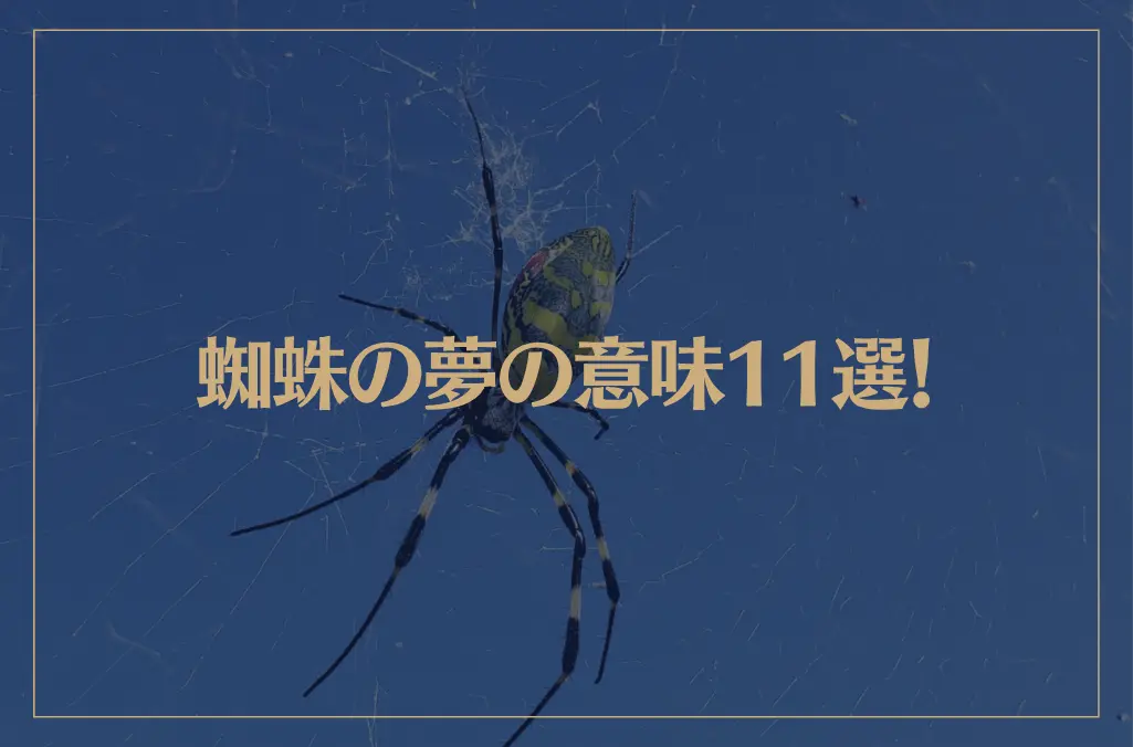 【夢占い】蜘蛛の夢の意味11選！シチュエーション別にご紹介！