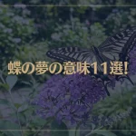 【夢占い】蝶の夢の意味11選！シチュエーション別にご紹介！